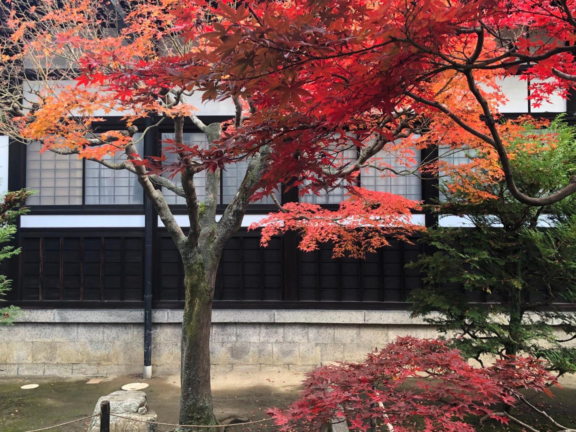 Inari-Home Kyoto Eksteriør bilde