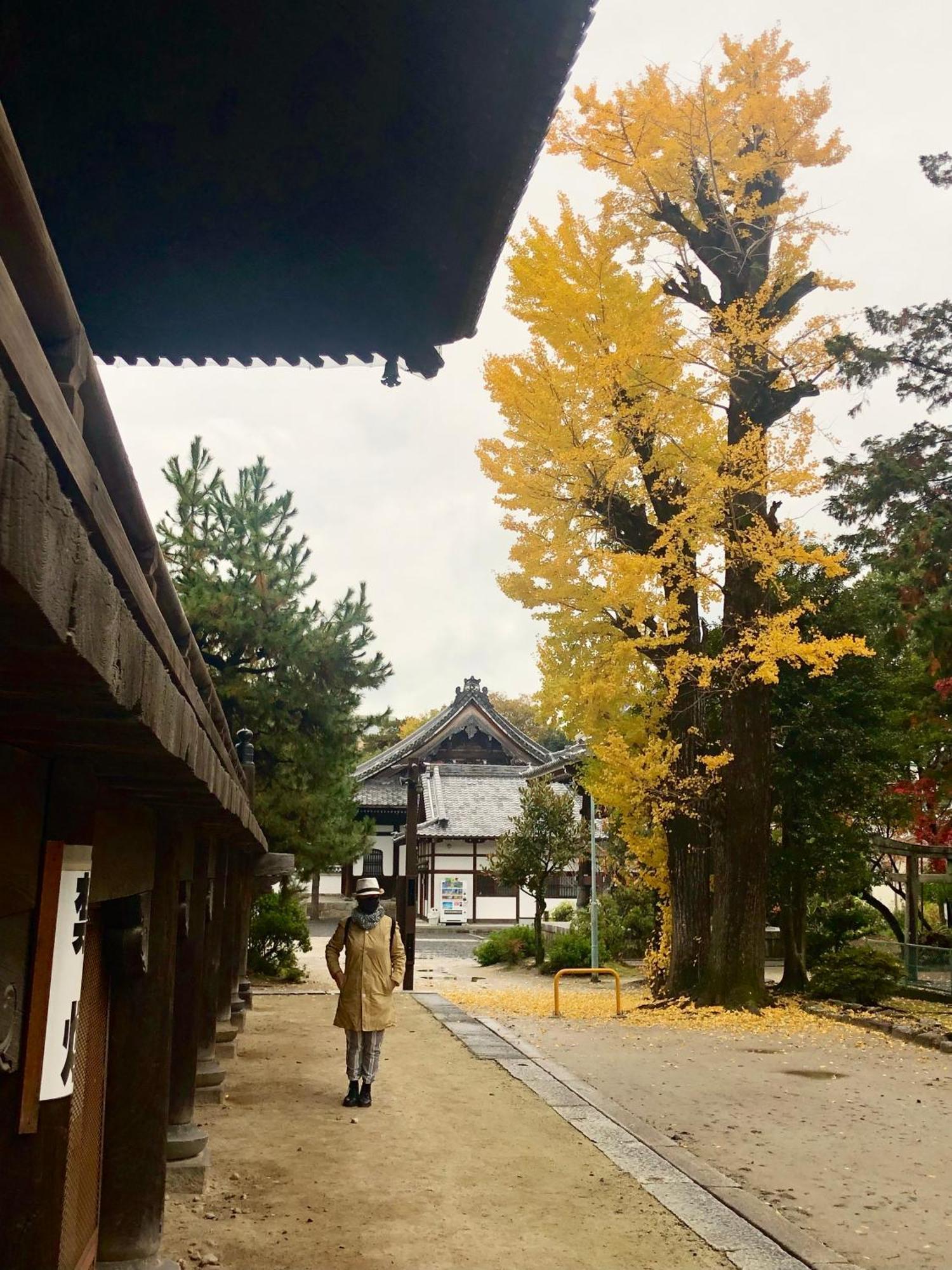 Inari-Home Kyoto Eksteriør bilde