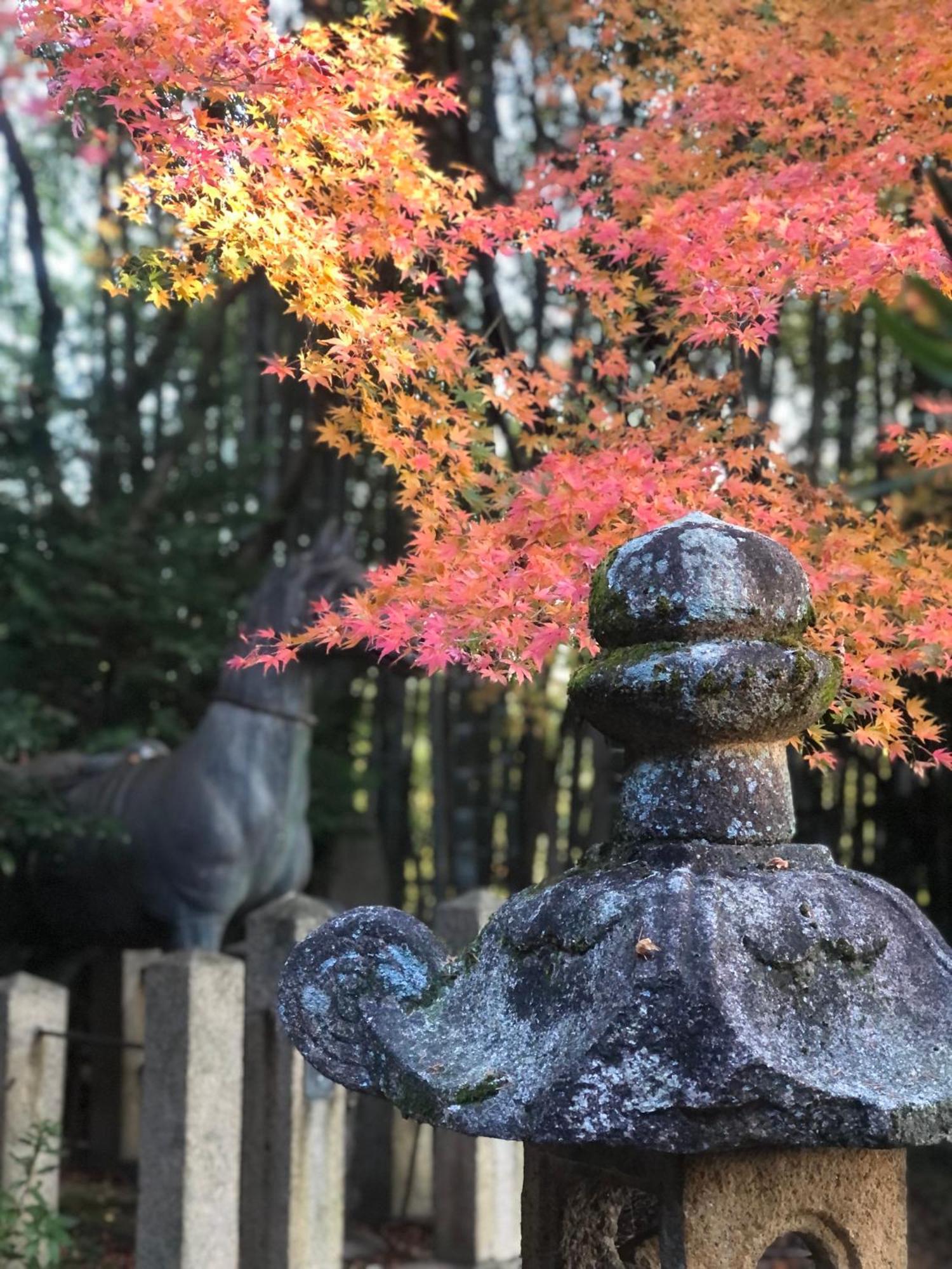 Inari-Home Kyoto Eksteriør bilde